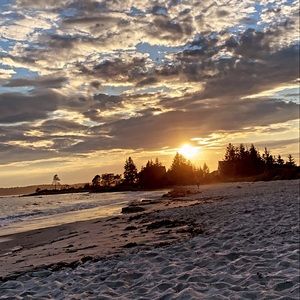 Meet your Posher, Maddie